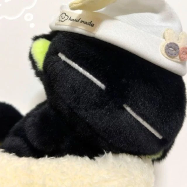 worable's Blog 的头像